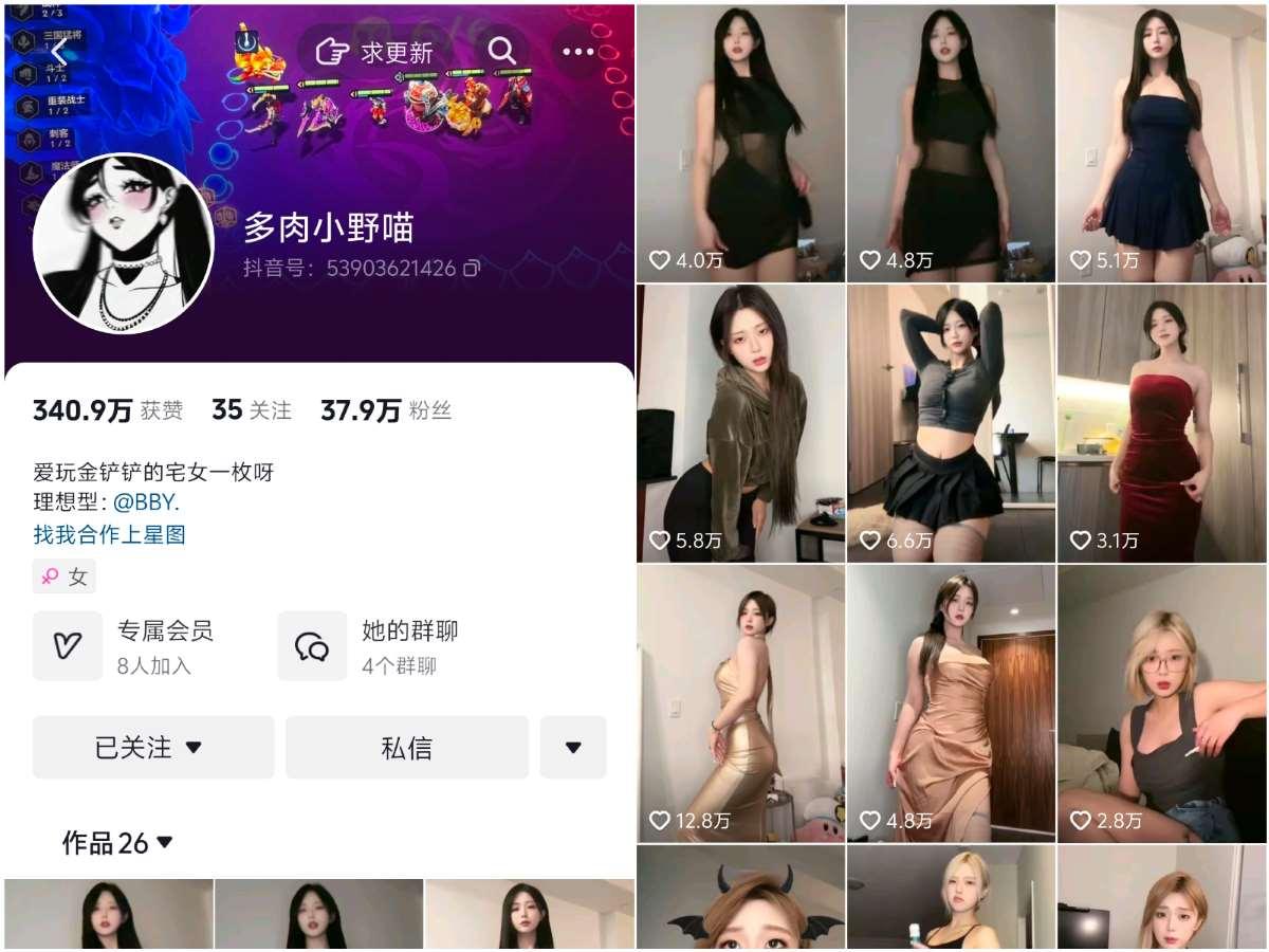 010多肉小野猫封面