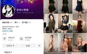 多肉小野猫 微密圈(觅圈)视频写真合集16期 - 妍画集-妍画集