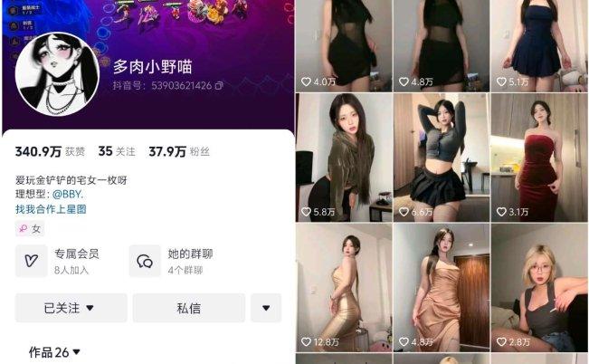 多肉小野猫 微密圈(觅圈)视频写真合集16期-妍画集