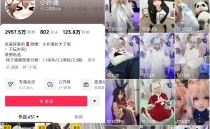 小扑通 微密圈视频写真合集 531图83视频 - 妍画集-妍画集