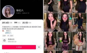 八酱(粉红八) 微密圈视频写真合集 30期 - 妍画集-妍画集